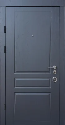 Вхідні двері Q-DOORS Авангард Тріно дуб графіт / біла шагрень